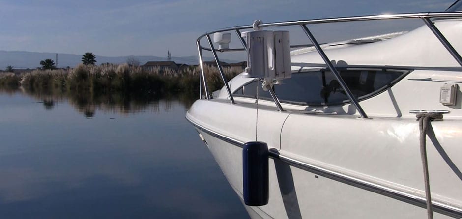 Fender Crop Px